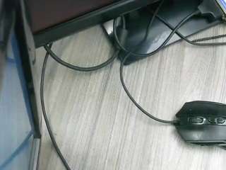 holycode webcam model stream image