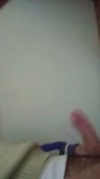 brunodegoas webcam model stream image