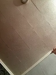 Evelin199 webcam model stream image