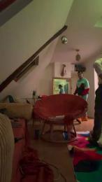 spanishguy6666 webcam model stream image