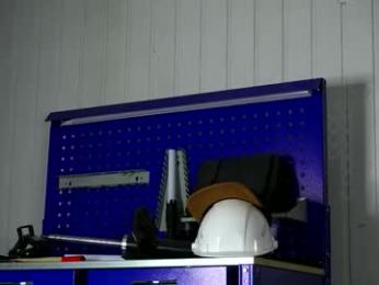 dustyn_fox webcam model stream image