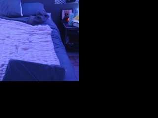 donsterak webcam model stream image