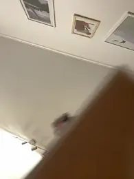 Vista previa de Guloiok