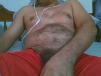 bbccol1 webcam model stream image