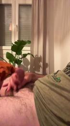 Basquedick90 webcam model stream image