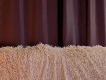 sunshinegirlx webcam model stream image