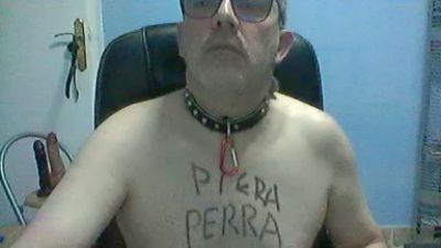 perrasum3 webcam model stream image