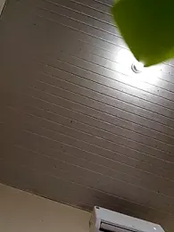 arybiten webcam model stream image