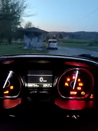 lui8181 webcam model stream image