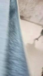 DioWhite_mf webcam cam4 model stream image