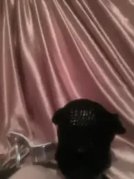 w1cked_couple webcam model stream image