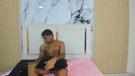 Duolux_HL webcam model stream image