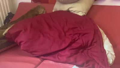 Gildags00 webcam model stream image