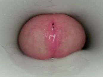 jeffrodgerschaturbat webcam model stream image