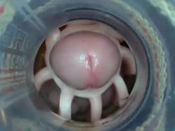 jeffrodgerschaturbat webcam model stream image
