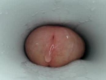 jeffrodgerschaturbat webcam chaturbate model stream image
