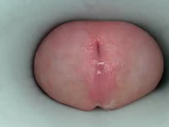jeffrodgerschaturbat webcam chaturbate model stream image