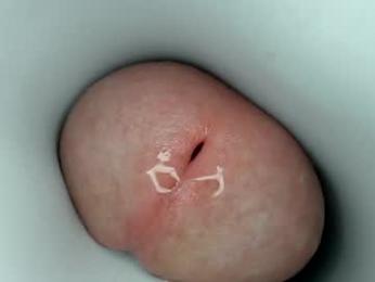 jeffrodgerschaturbat webcam model stream image