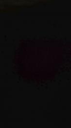 puta270 webcam cam4 model stream image