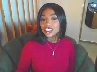 teerry webcam model stream image