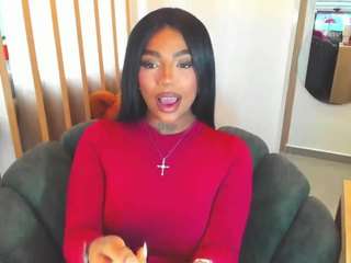 teerry webcam model stream image