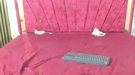 lau_and_andy webcam model stream image
