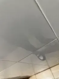 Black-mamba-madingo webcam stripchat model stream image