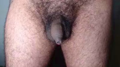 furryassholexx webcam cam4 model stream image