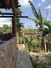 Jacksonfranco webcam stripchat model stream image