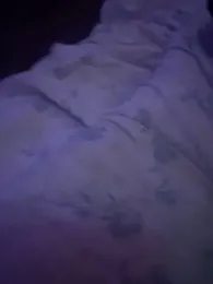 urbaddbunny webcam model stream image