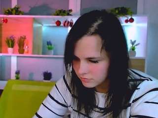 veri-ni webcam model stream image