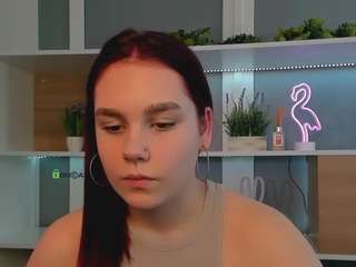 veri-ni webcam model stream image