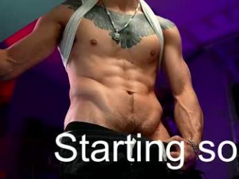 dl_raven webcam model stream image