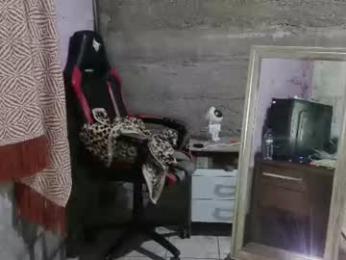 hebarsensei webcam model stream image