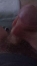 terrone46 webcam model stream image