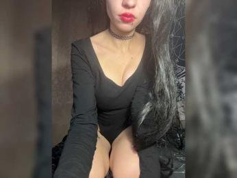 Sofelcamss webcam model stream image