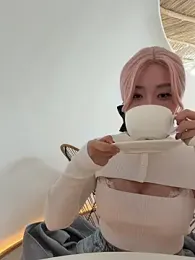 winter11 webcam model stream image