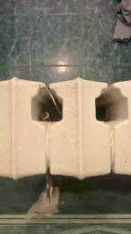 Gianp95 webcam cam4 model stream image