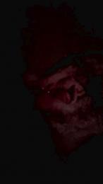 Sum85 webcam model stream image