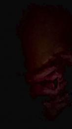 Sum85 webcam cam4 model stream image