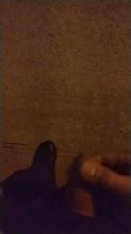 crowlee_ webcam model stream image