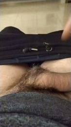 crowlee_ webcam model stream image