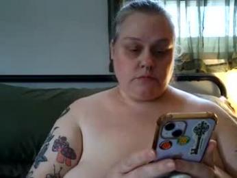 nellatlas webcam model stream image