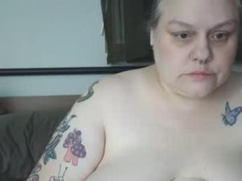 nellatlas webcam model stream image