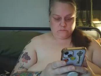 nellatlas webcam model stream image