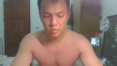 vul3196t webcam model stream image