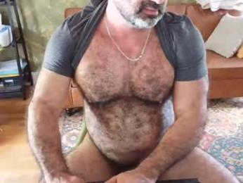 muscledadbear webcam chaturbate model stream image