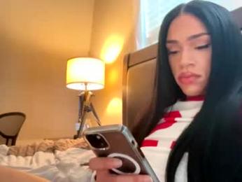 dynasty313 webcam chaturbate model stream image