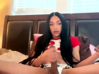 dynasty313 webcam chaturbate model stream image