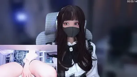 envyko_ai webcam model stream image